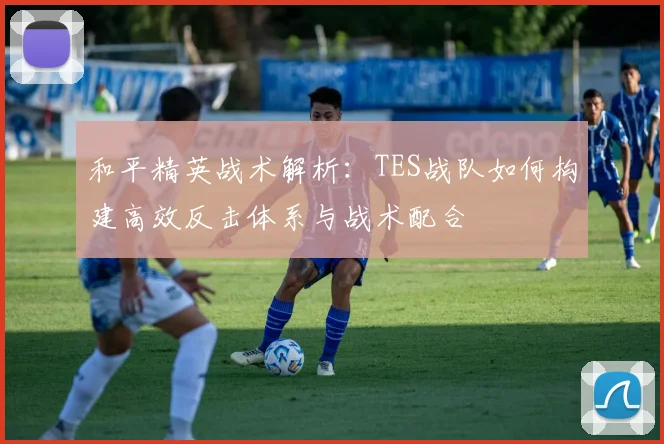 和平精英战术解析：TES战队如何构建高效反击体系与战术配合