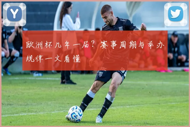 欧洲杯几年一届？赛事周期与举办规律一文看懂