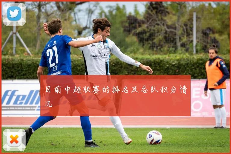 目前中超联赛的排名及各队积分情况