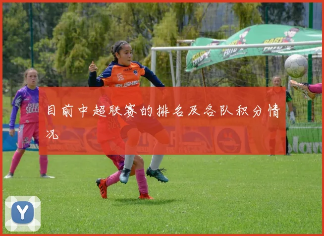 目前中超联赛的排名及各队积分情况