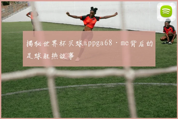 揭秘世界杯买球appga68·me背后的足球狂热故事