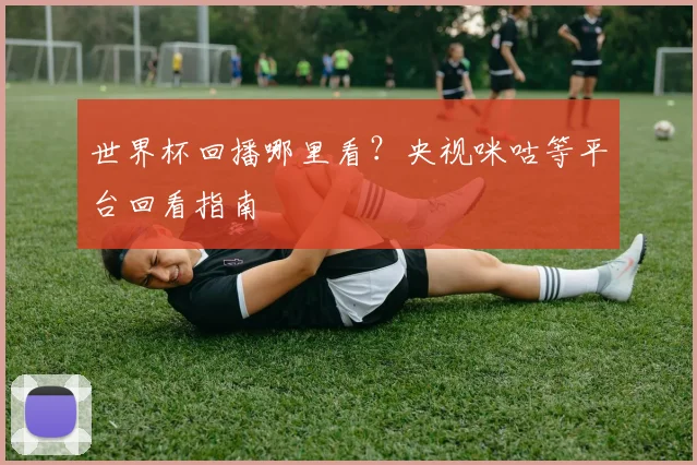 世界杯回播哪里看？央视咪咕等平台回看指南
