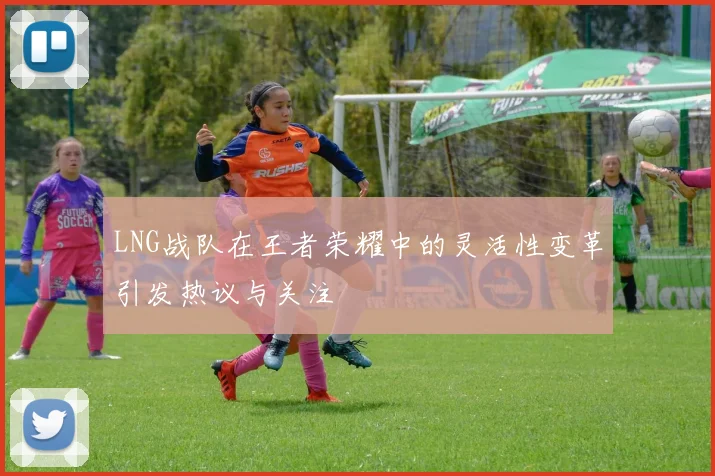 LNG战队在王者荣耀中的灵活性变革引发热议与关注