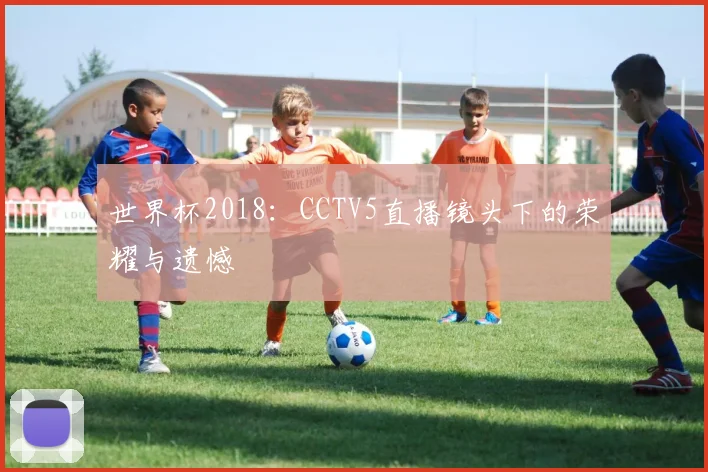 世界杯2018：CCTV5直播镜头下的荣耀与遗憾