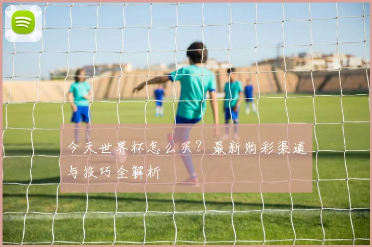 今天世界杯怎么买？最新购彩渠道与技巧全解析